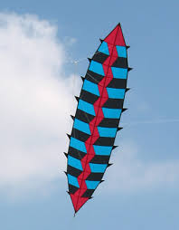 Image result for Midlands Kite Fliers