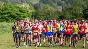 Image result for Alton Runners