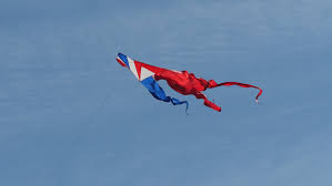 Image result for Kent Kite Flyers Club