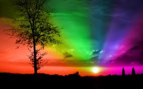 _______________colors_________________ 1