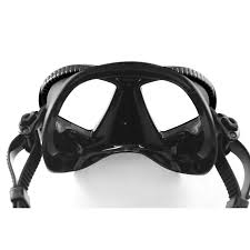 Image result for Seaquest Divers