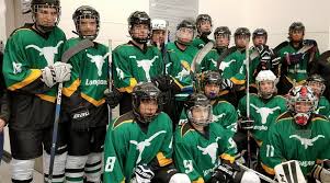 Image result for Leigh Hockey Club