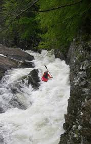 Image result for Lowestoft & District Canoe Club