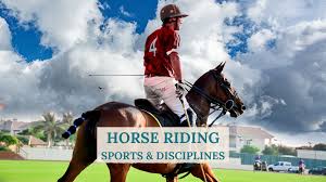 Image result for South Weylands Equestrian