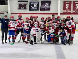 Image result for Godalming In-Line Hockey Club