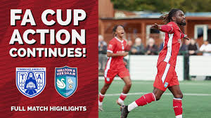 Image result for Walton & Hersham Football Club