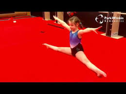 Image result for Park Wrekin Gymnastics Club