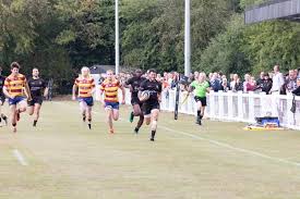 Image result for Rochford Hundred Rugby Club