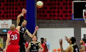 Image result for Essex Leopards
