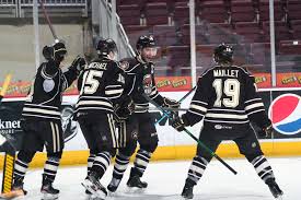 Image result for Hersham Hockey Club