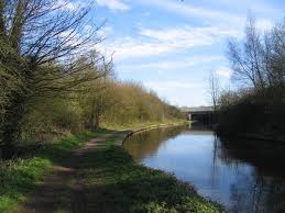 Image result for Barnt green