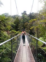 Image result for Renfrew Backgammon Club