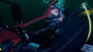 Image result for Duchy Divers