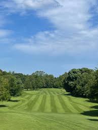 Image result for Billingham Golf Club