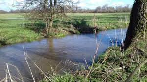 Image result for Warlingham & District Anglers` Society