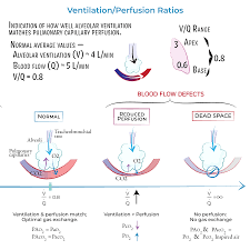 Image result for  v    q