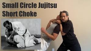 Image result for Komaru Ryu Small Circle Jujitsu/Karate