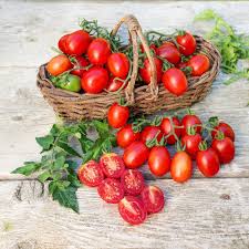 Afbeeldingsresultaat voor principe borghese tomato