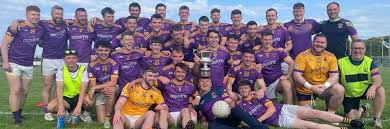 Image result for Wolfe Tones Gaelic Athletic Club