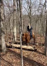 Image result for horse girl gun