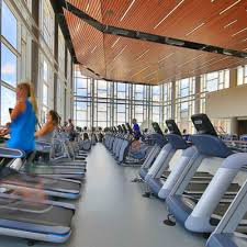 Image result for Calow J.N.C