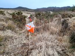 Image result for Wessex Orienteering Club
