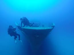 Image result for Aquanauts Dive Centre Sunderland