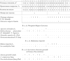 Attēlu rezultāti vaicājumam “Juncus nastanthus”
