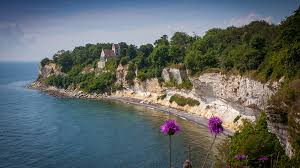 Image result for stevns klint