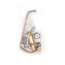 Attēlu rezultāti vaicājumam “Licea minima”