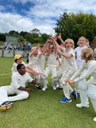 Image result for Shalford Cricket Club