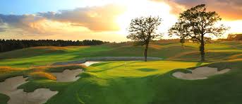 Image result for Harpenden Common Golf Club