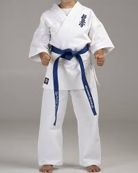 Image result for Kyokushin Karate