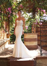 Image result for cosmobella