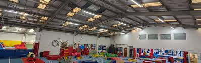 Image result for Harlequins Gymnastics Club