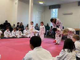 Image result for New Milton Taekwondo Club
