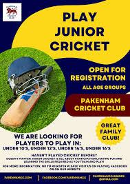 Image result for Pagham Cricket Club