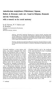 Attēlu rezultāti vaicājumam “Dicranella staphylina cells”