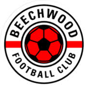 Image result for Beecholme Fc
