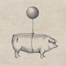 Image result for flying pigs