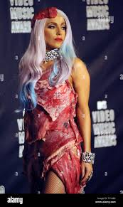 Image result for lady gaga meat dress