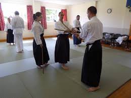 Image result for Aikido - Shobu UK