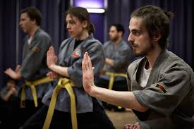 Image result for Shaolin Nam Pai Chuan Kung Fu - Manchester Martial Arts Centre