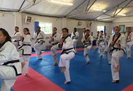 Image result for Tang Sou Dao Ren Yi Wu Kwan - Huntingdon