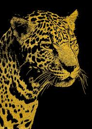 Image result for Pharaoh Gold 1981 Jaguar