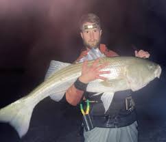 Image result for SHIRLEY SEA ANGLING CLUB