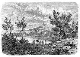 Image result for alba