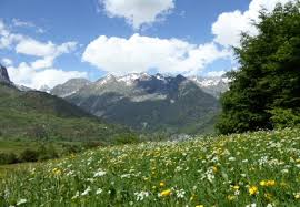 Image result for Loddon Valley Rambling Group