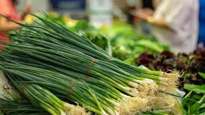 Image result for Schnittknoblauch