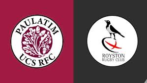 Image result for Royston Rufc